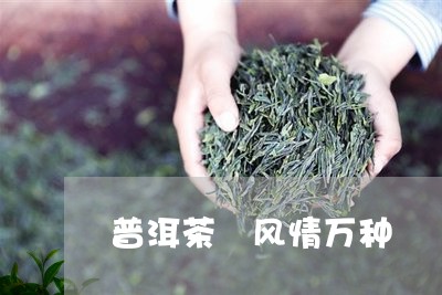 普洱茶 风情万种/2023033169394